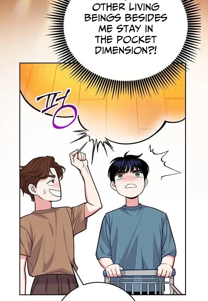 The Pocket Dimension of an Ordinary Lawyer Chapter 13 page 42 - 