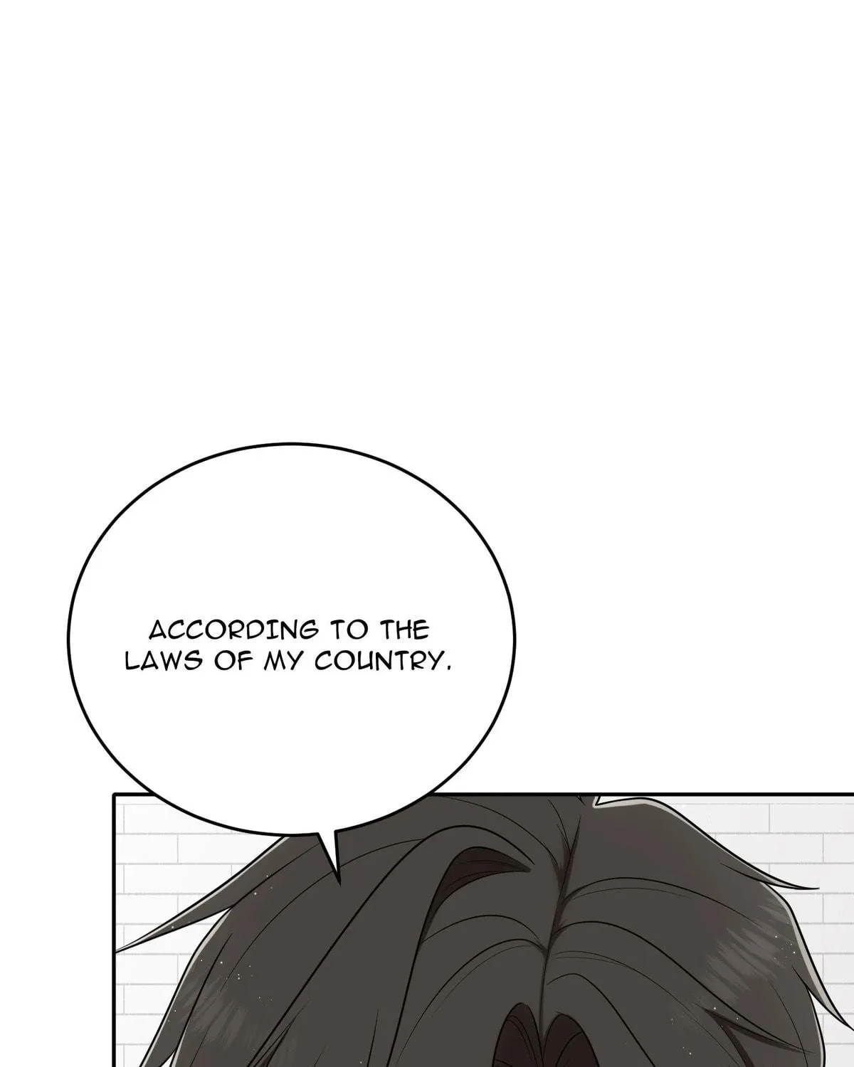 The Poetry of Love and War Chapter 3 page 249 - 