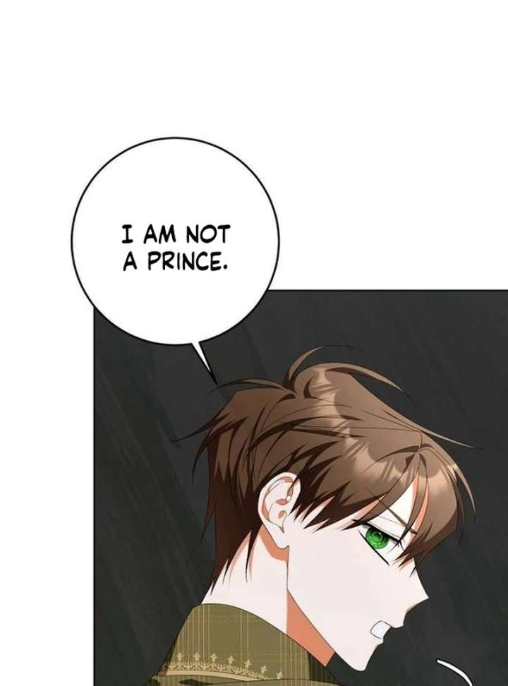 The Poisoned Goblet: The Princess Filled With Poison Chapter 11 page 33 - 