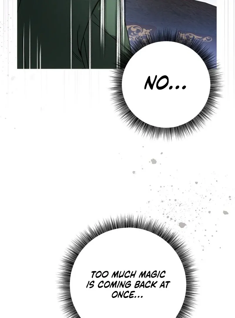 The Possessed Evil Women Chapter 15 page 36 - 