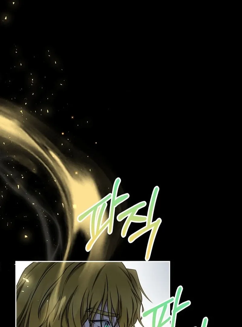 The Possessed Evil Women Chapter 22 page 65 - 