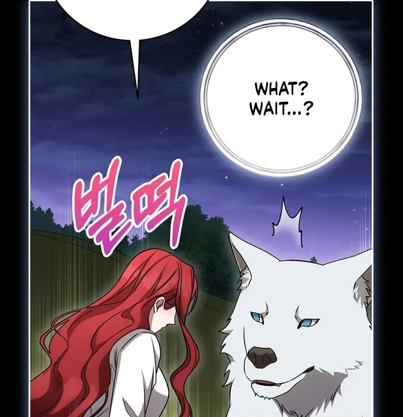 The Possessed Evil Women Chapter 29 page 95 - 