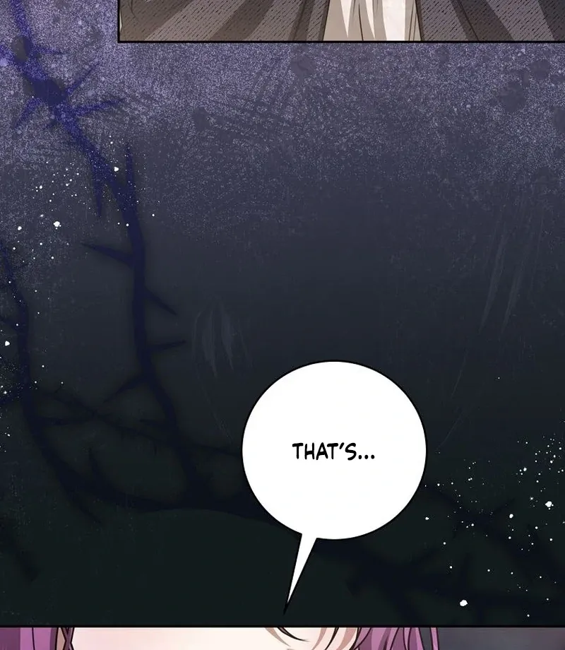 The Possessed Evil Women Chapter 35 page 65 - 