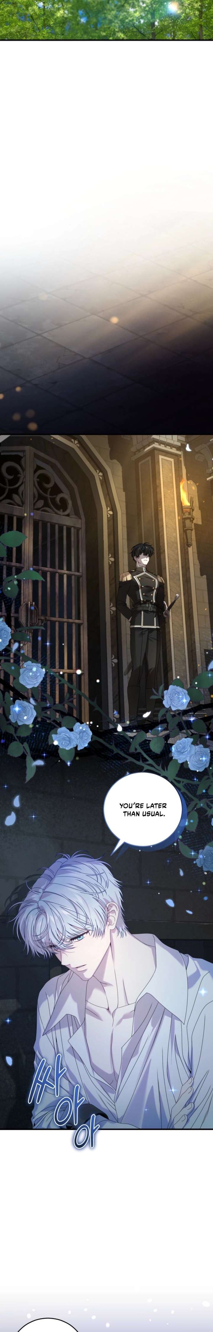 The Possessive Madman Is Trying to Imprison Me Chapter 22 page 25 - 