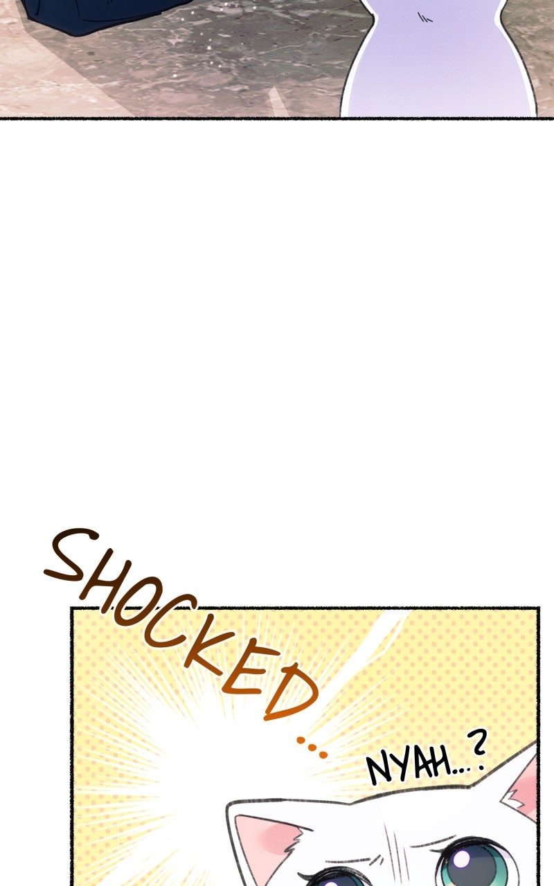 The Possessive Tyrantand His Sleepy Cat Episode 1 page 101 - 