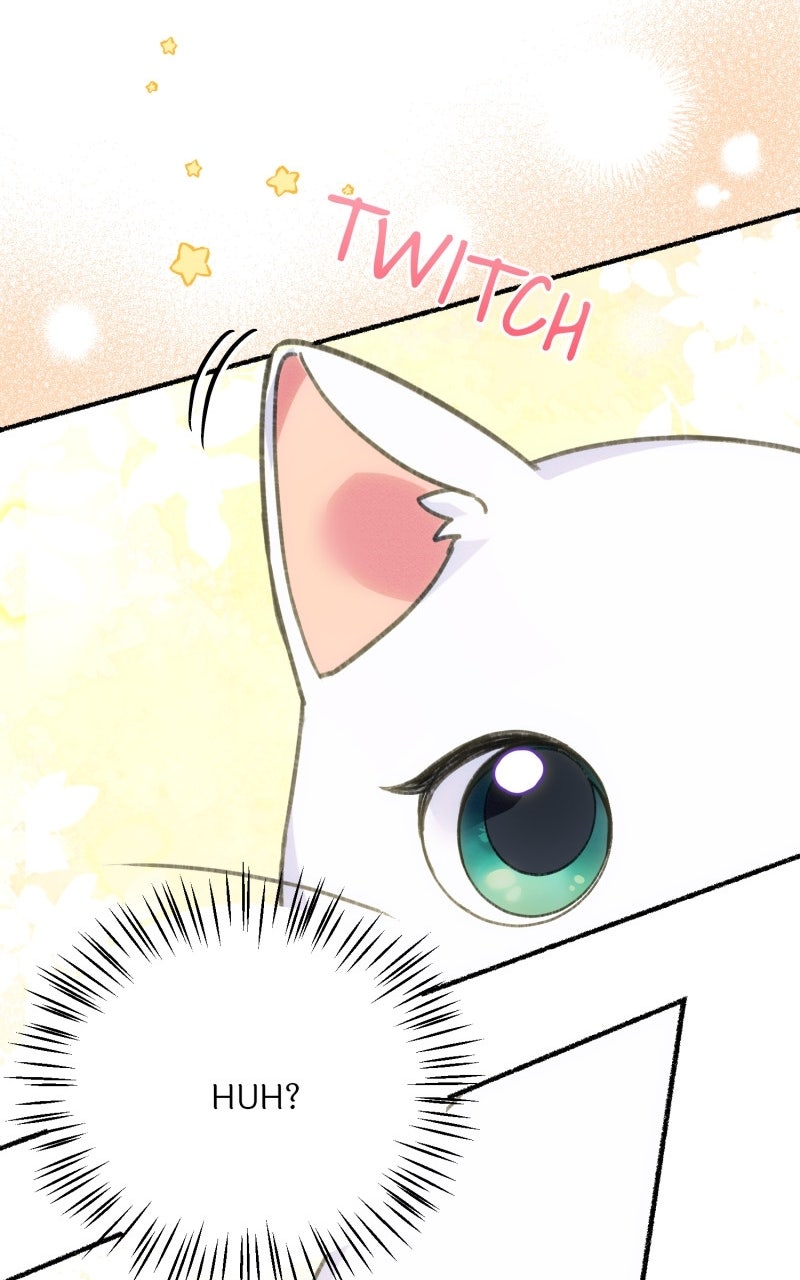The Possessive Tyrantand His Sleepy Cat Episode 1 page 22 - 
