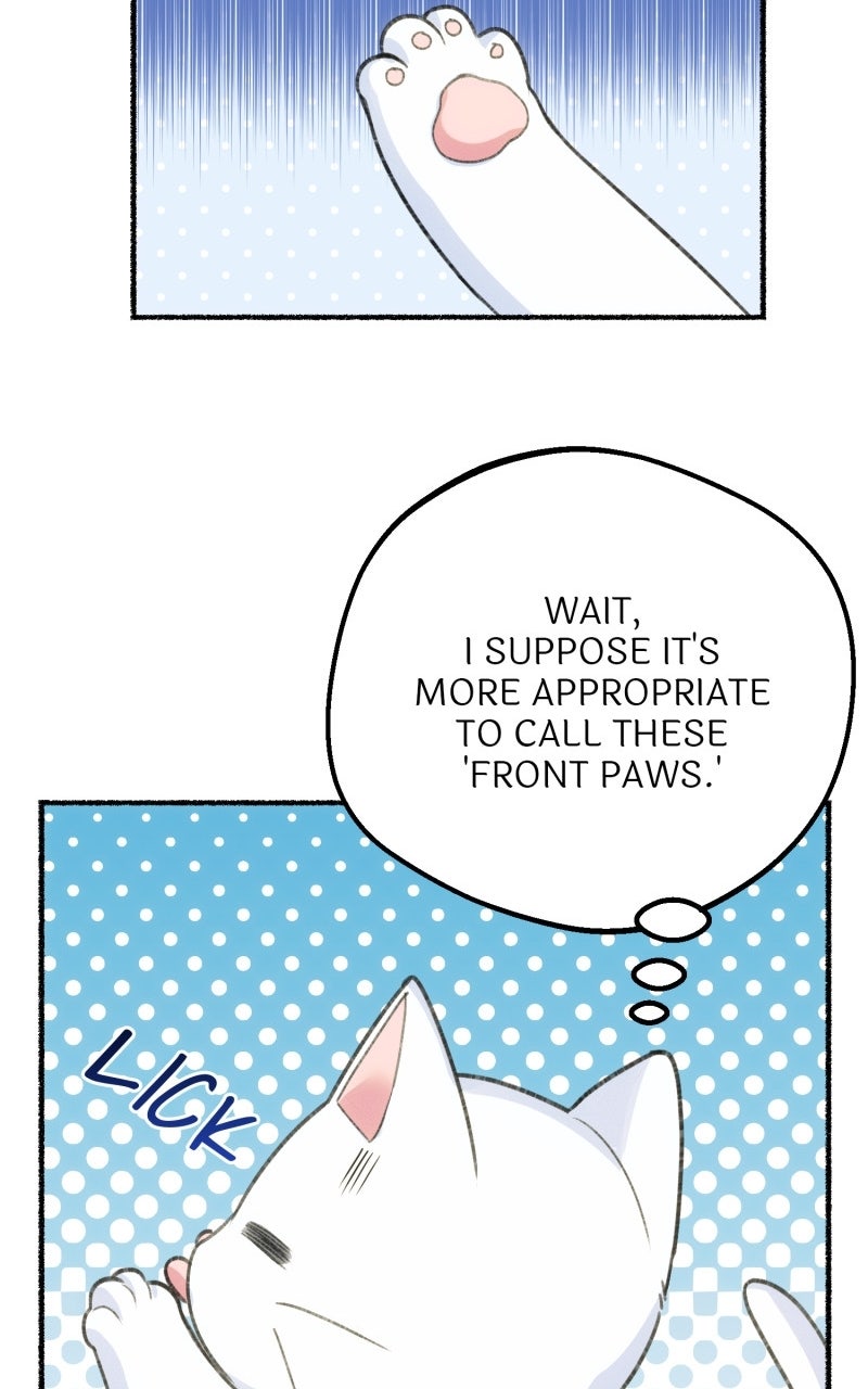 The Possessive Tyrantand His Sleepy Cat Episode 1 page 35 - 