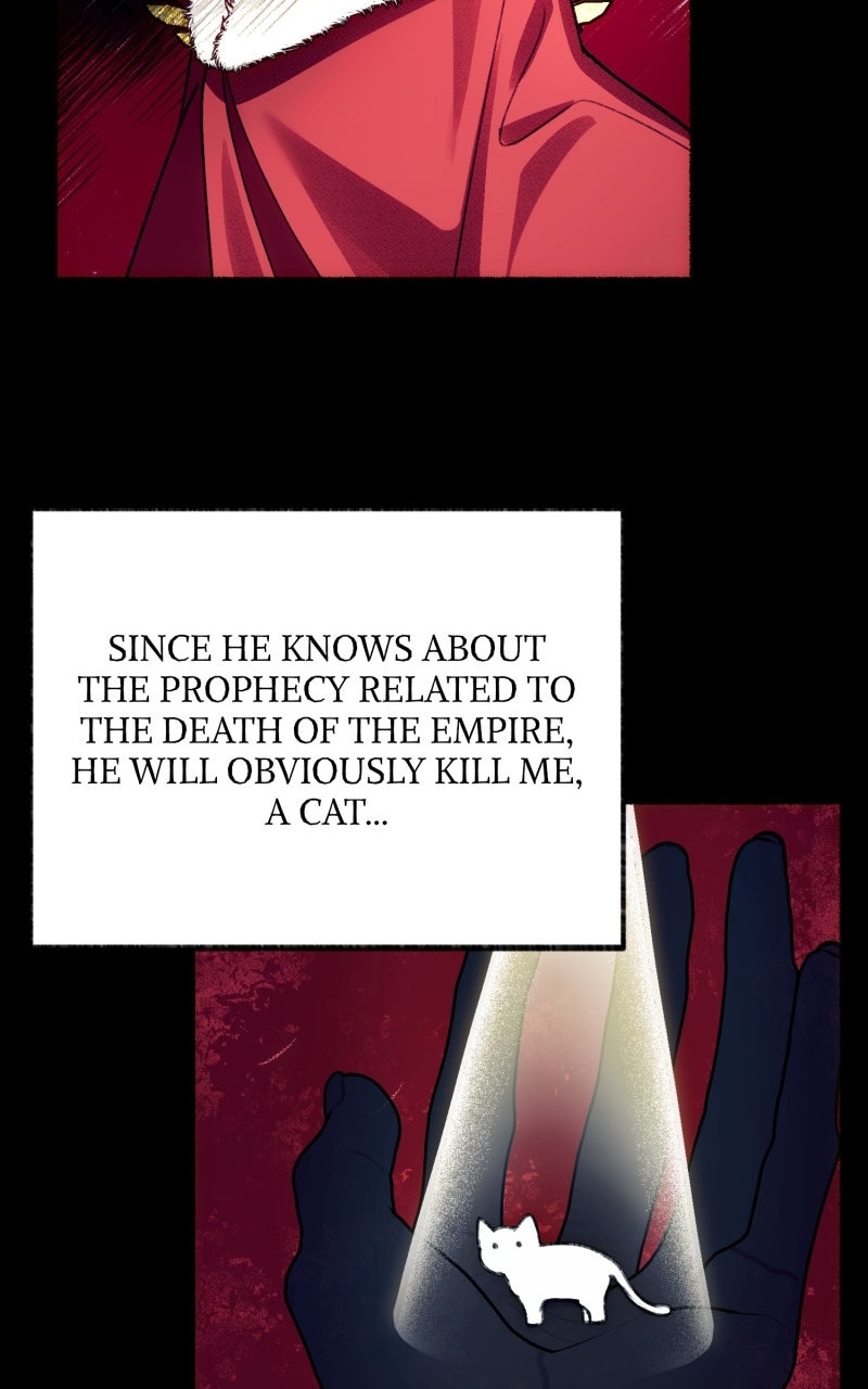 The Possessive Tyrantand His Sleepy Cat Episode 1 page 71 - 