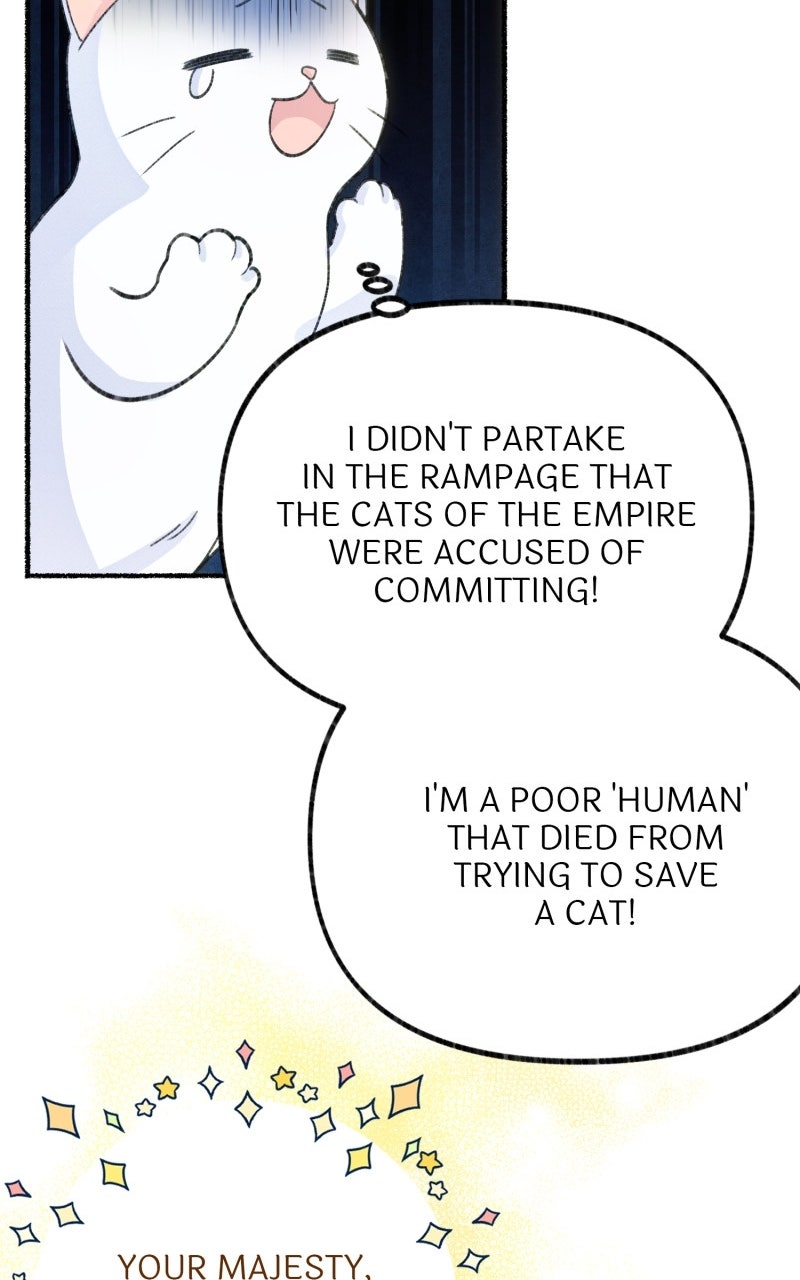 The Possessive Tyrantand His Sleepy Cat Episode 1 page 73 - 