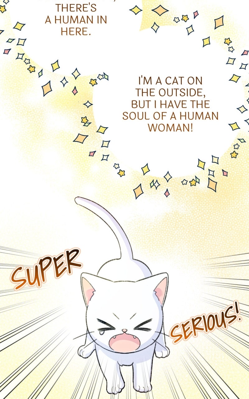 The Possessive Tyrantand His Sleepy Cat Episode 1 page 74 - 