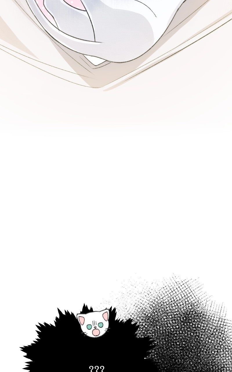 The Possessive Tyrantand His Sleepy Cat Episode 1 page 81 - 