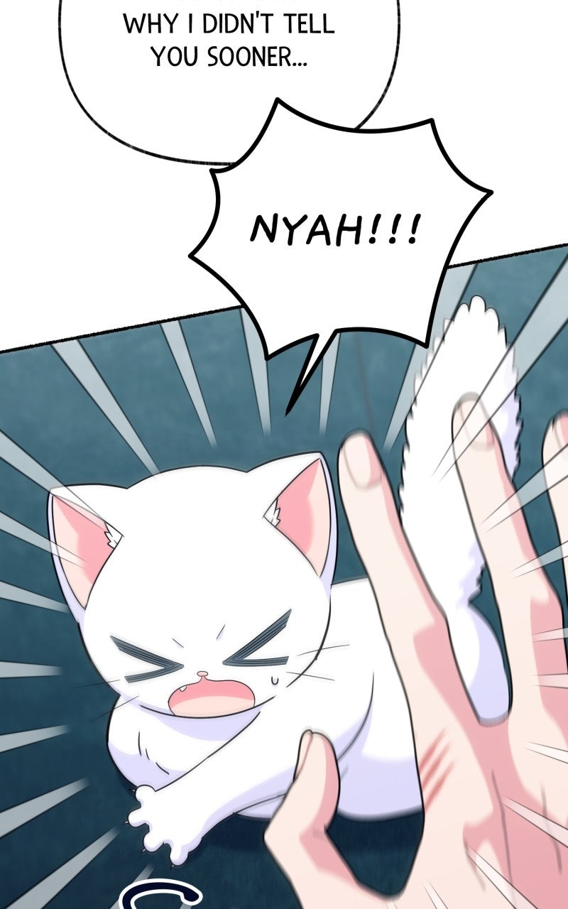 The Possessive Tyrantand His Sleepy Cat Episode 11 page 11 - 