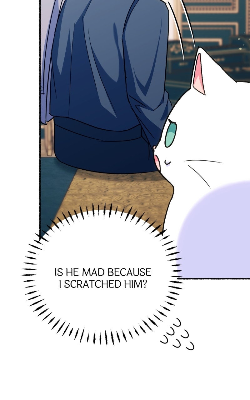 The Possessive Tyrantand His Sleepy Cat Episode 11 page 15 - 