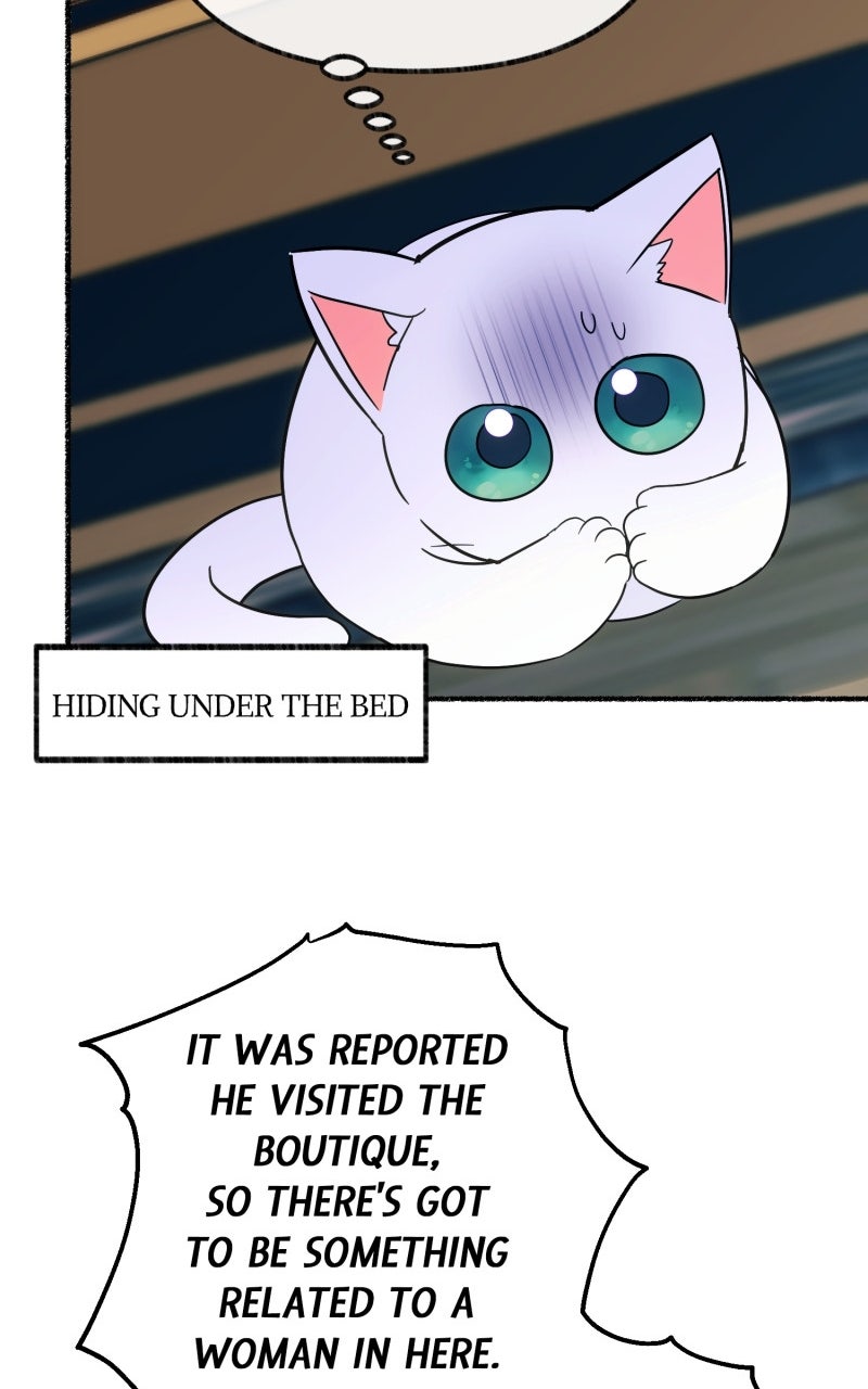 The Possessive Tyrantand His Sleepy Cat Episode 11 page 34 - 