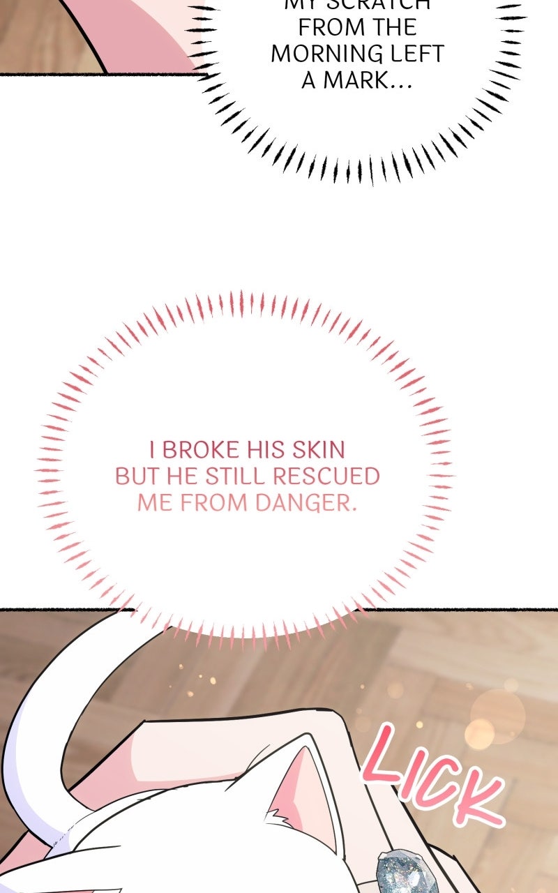 The Possessive Tyrantand His Sleepy Cat Episode 12 page 17 - 