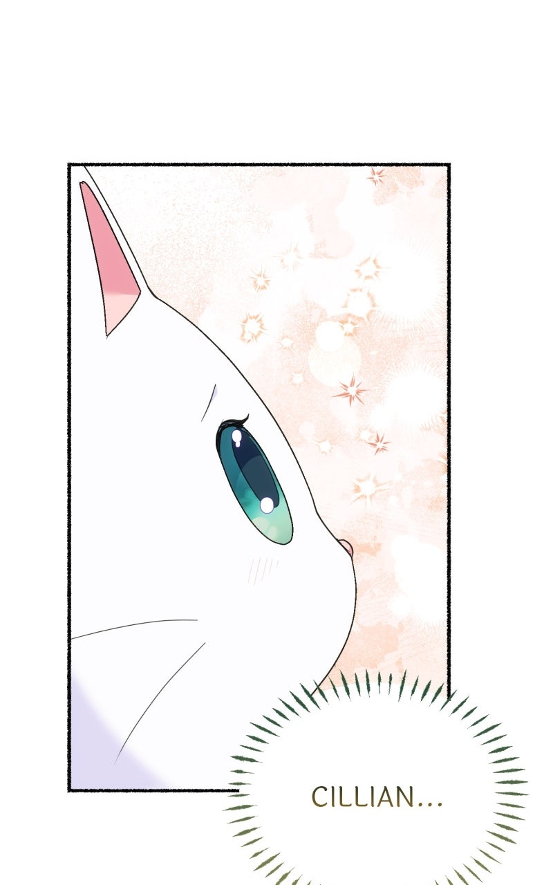 The Possessive Tyrantand His Sleepy Cat Episode 13 page 49 - 