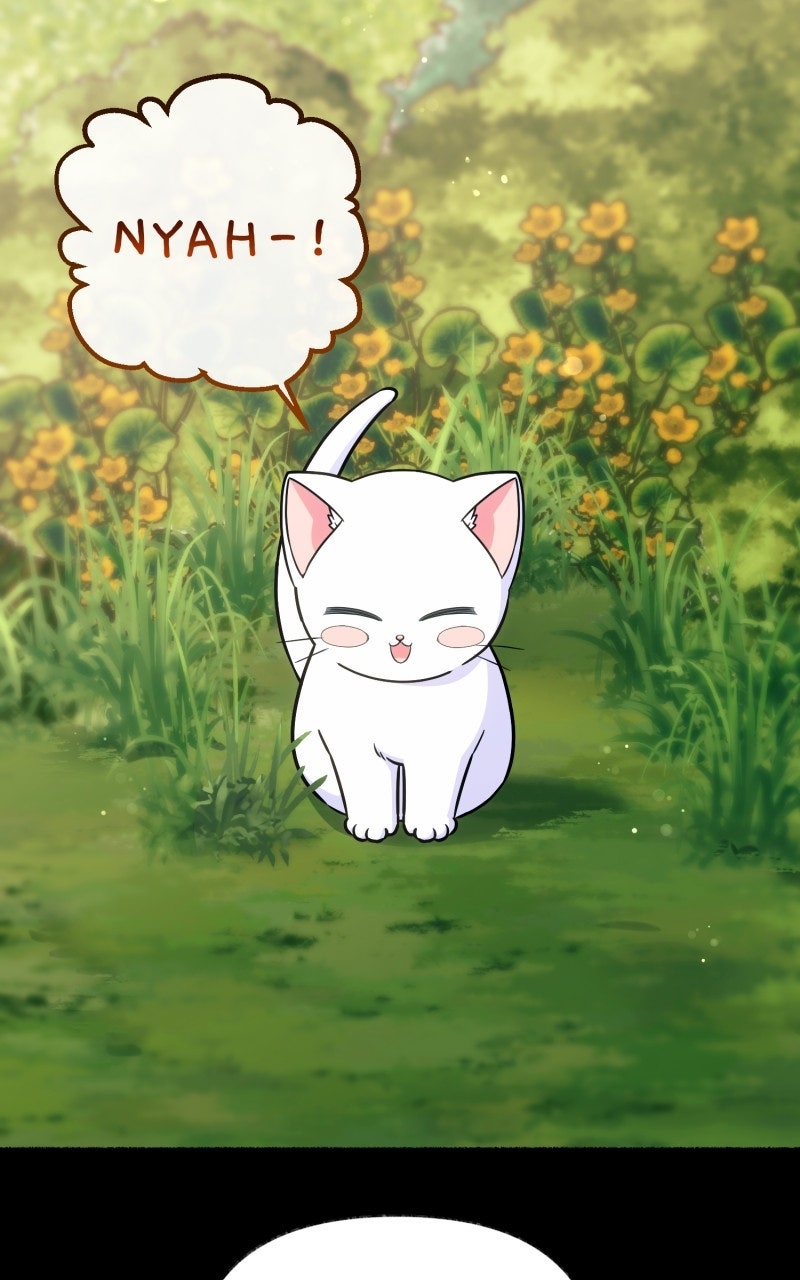 The Possessive Tyrantand His Sleepy Cat Episode 13 page 6 - 