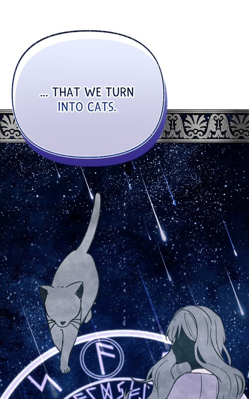 The Possessive Tyrantand His Sleepy Cat Episode 13 page 62 - 