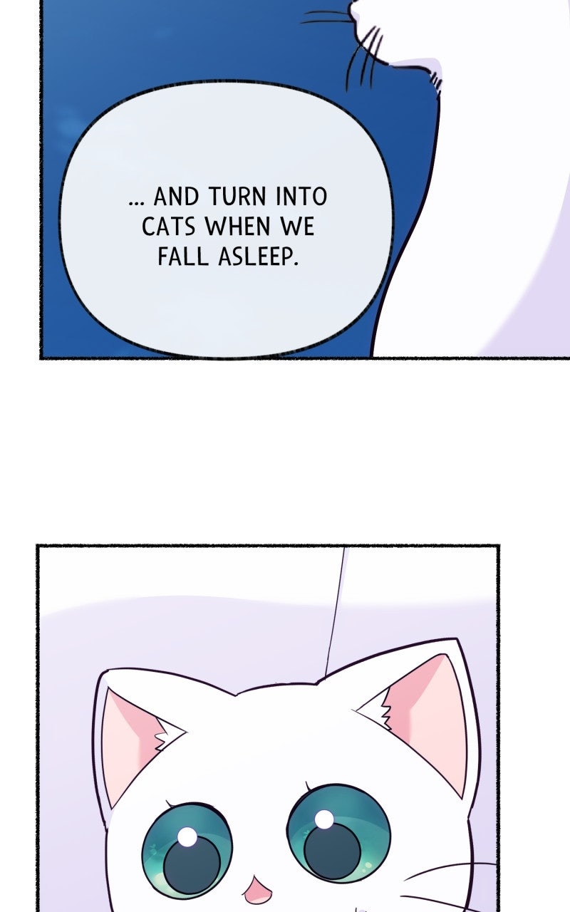 The Possessive Tyrantand His Sleepy Cat Episode 13 page 90 - 