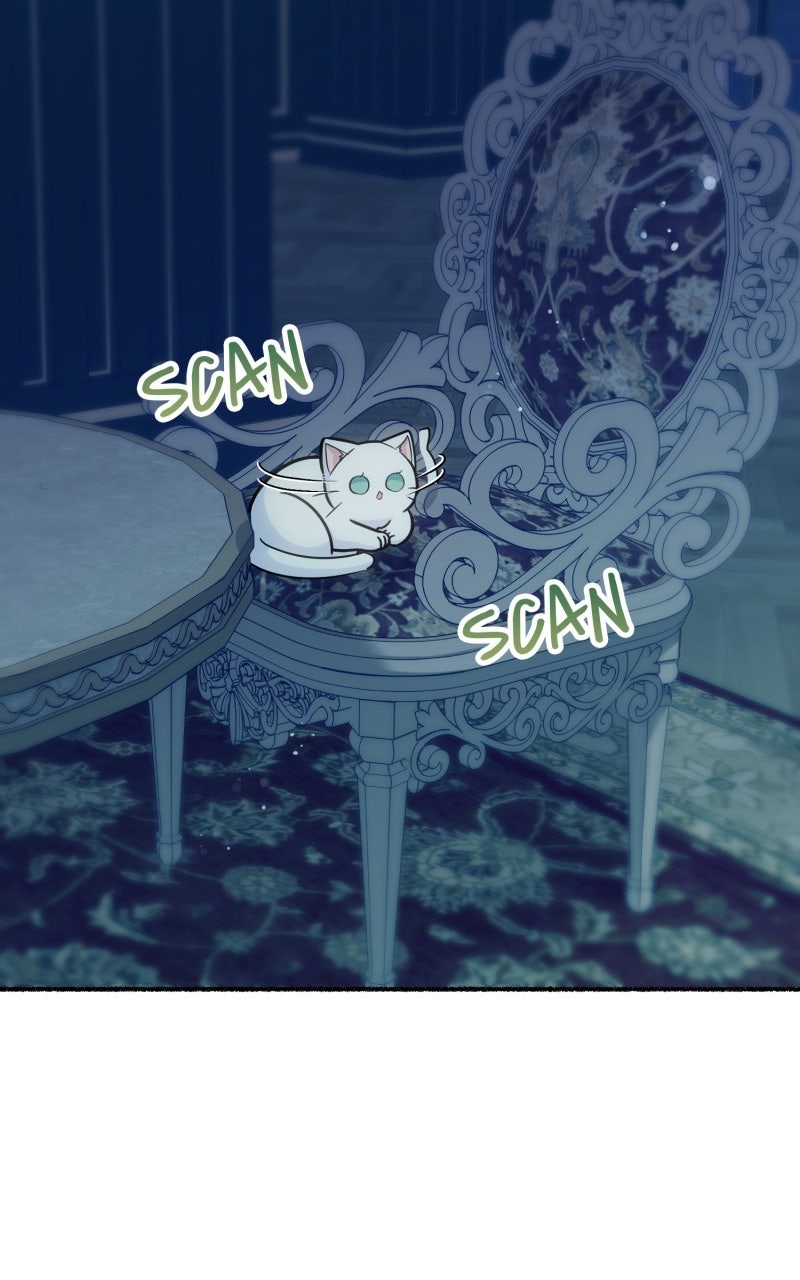 The Possessive Tyrantand His Sleepy Cat Episode 14 page 71 - 