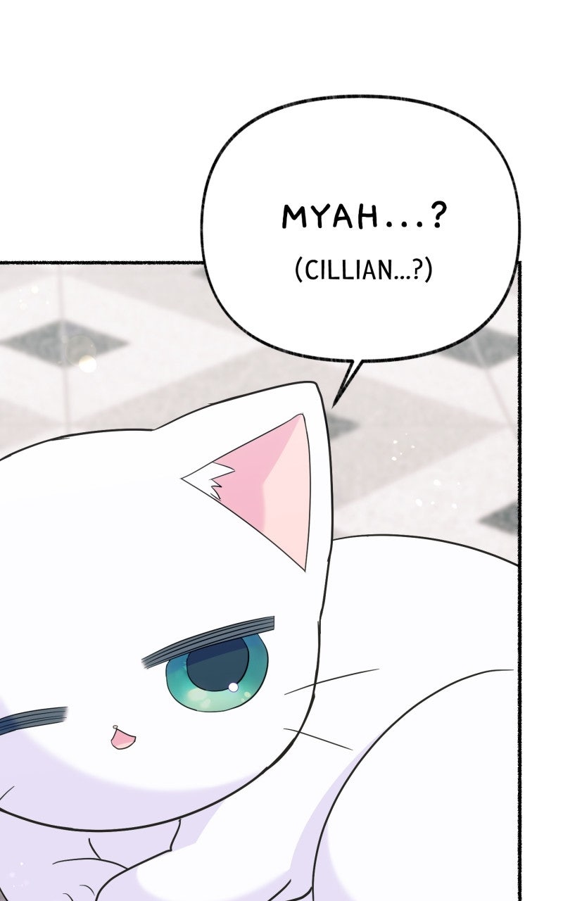 The Possessive Tyrantand His Sleepy Cat Episode 15 page 89 - 