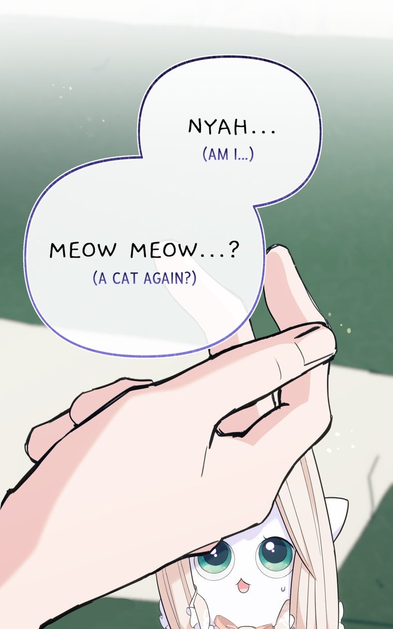 The Possessive Tyrantand His Sleepy Cat Episode 17 page 97 - 
