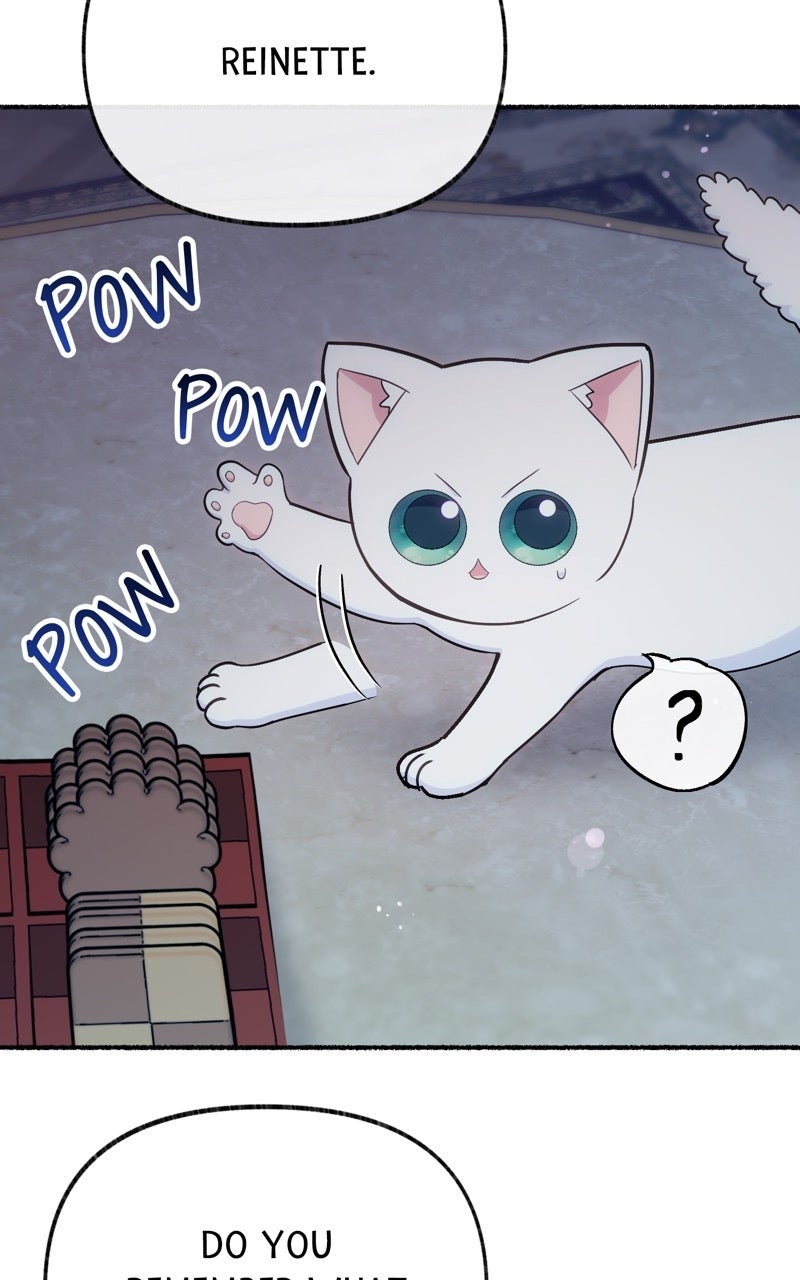 The Possessive Tyrantand His Sleepy Cat Episode 19 page 12 - 
