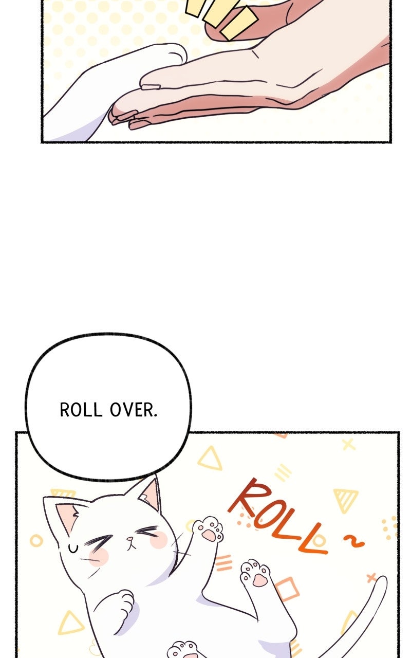 The Possessive Tyrantand His Sleepy Cat Episode 2 page 4 - 