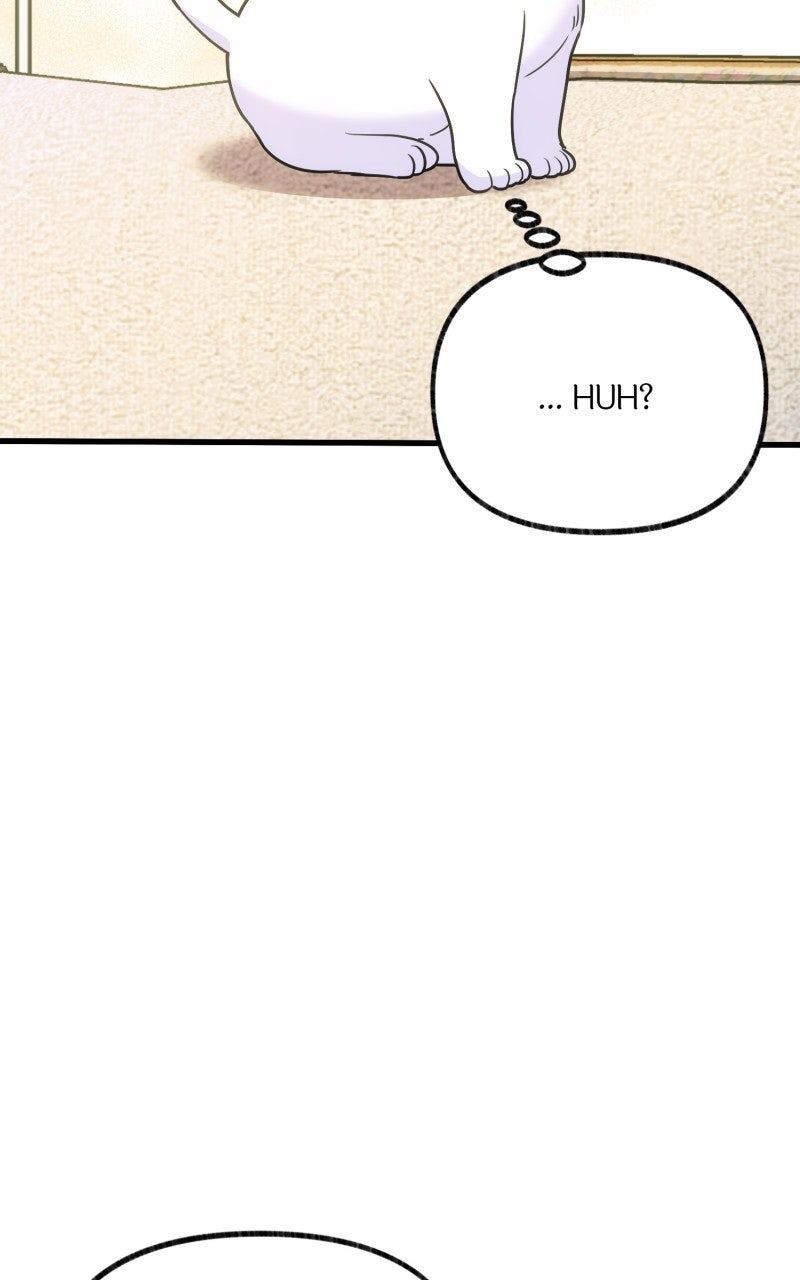 The Possessive Tyrantand His Sleepy Cat Episode 3 page 12 - 