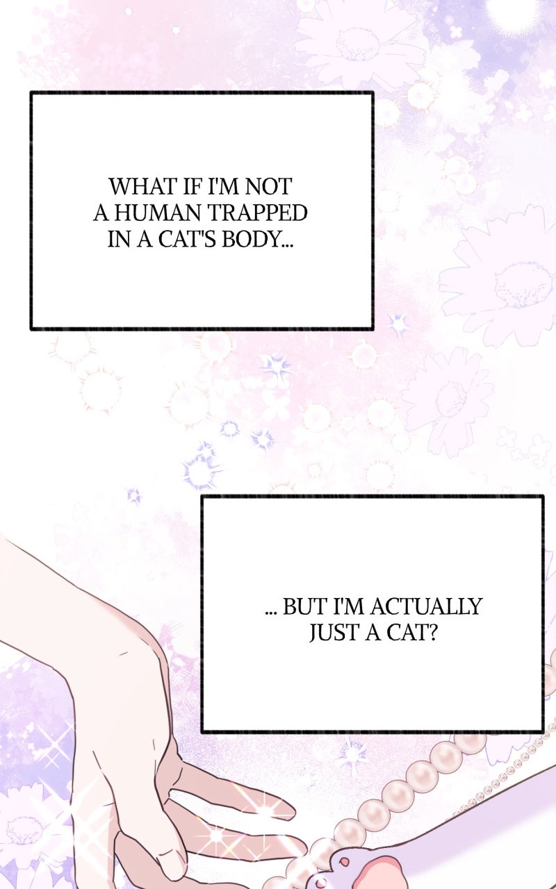 The Possessive Tyrantand His Sleepy Cat Episode 3 page 49 - 