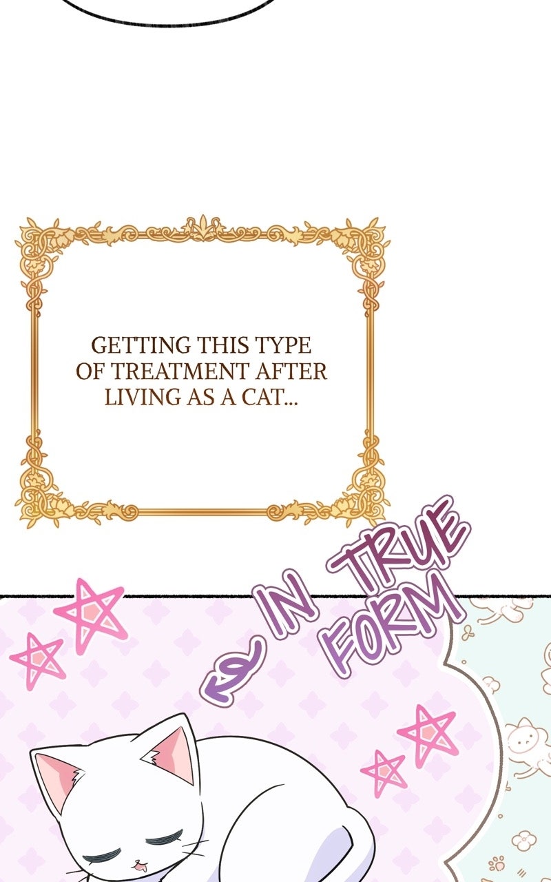 The Possessive Tyrantand His Sleepy Cat Episode 31 page 38 - 