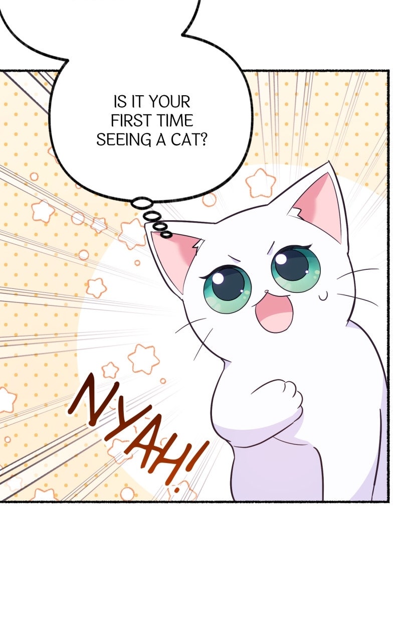 The Possessive Tyrantand His Sleepy Cat Episode 4 page 71 - 