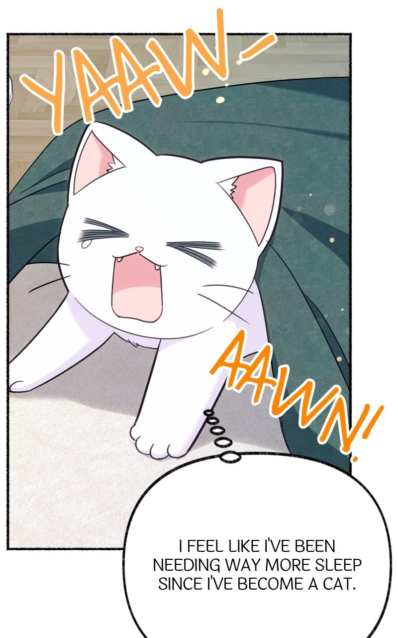 The Possessive Tyrantand His Sleepy Cat Episode 5 page 32 - 