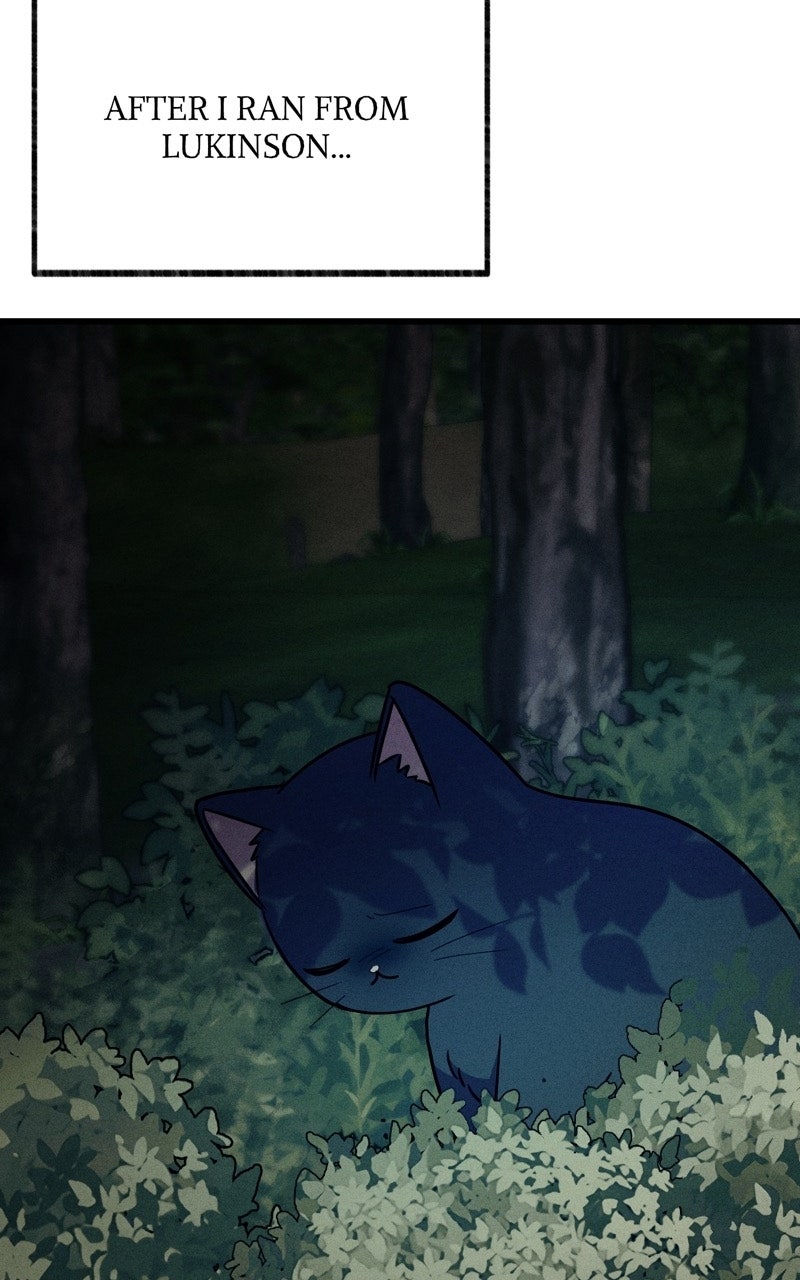 The Possessive Tyrantand His Sleepy Cat Episode 64 page 19 - 