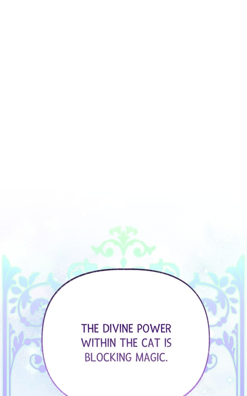The Possessive Tyrantand His Sleepy Cat Episode 8 page 12 - 