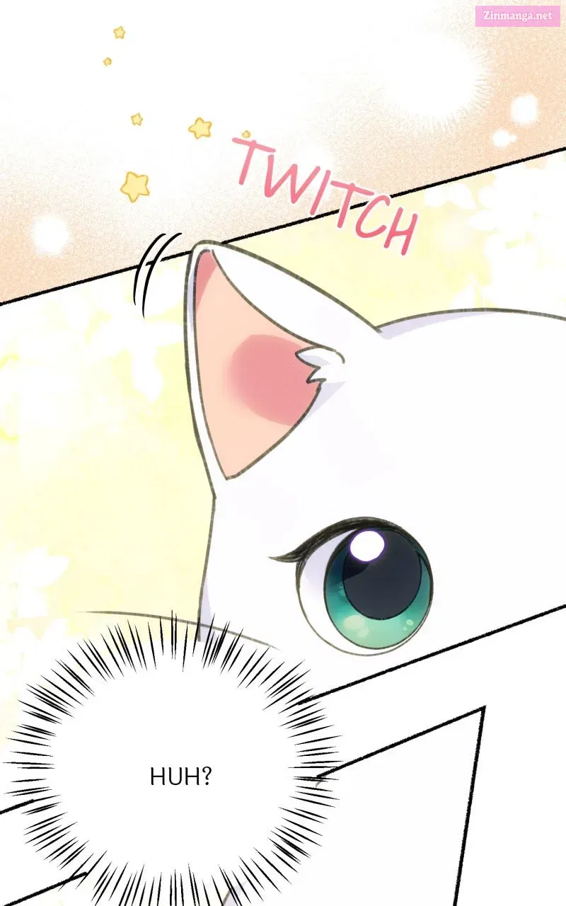 The Possessive Tyrantand His Sleepy Cat Chapter 1 page 22 - 