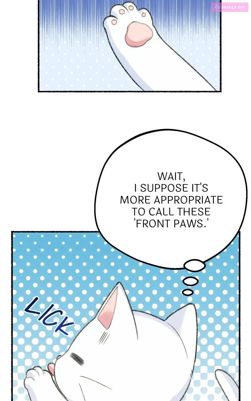 The Possessive Tyrantand His Sleepy Cat Chapter 1 page 35 - 