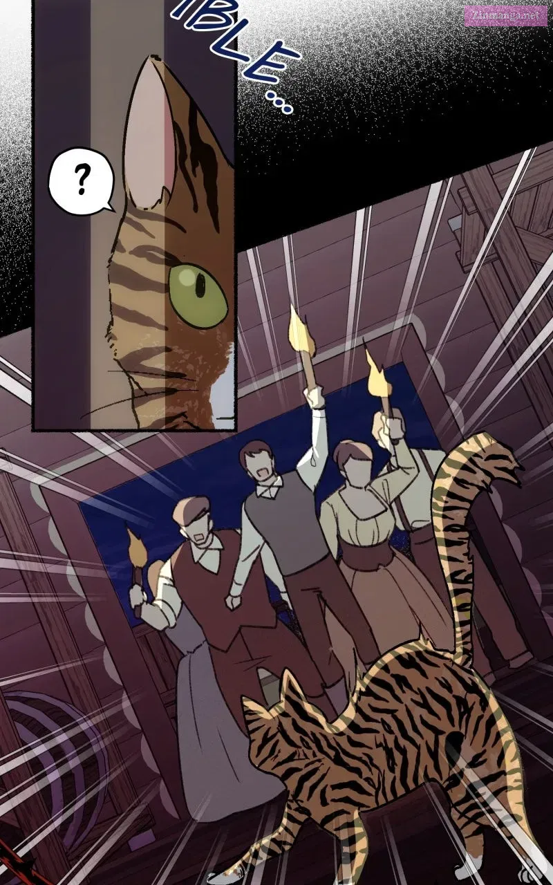 The Possessive Tyrantand His Sleepy Cat Chapter 1 page 48 - 
