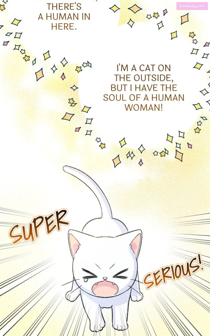 The Possessive Tyrantand His Sleepy Cat Chapter 1 page 74 - 