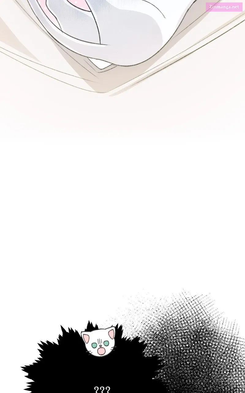 The Possessive Tyrantand His Sleepy Cat Chapter 1 page 81 - 