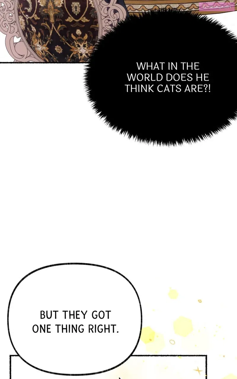 The Possessive Tyrantand His Sleepy Cat Chapter 1 page 94 - 