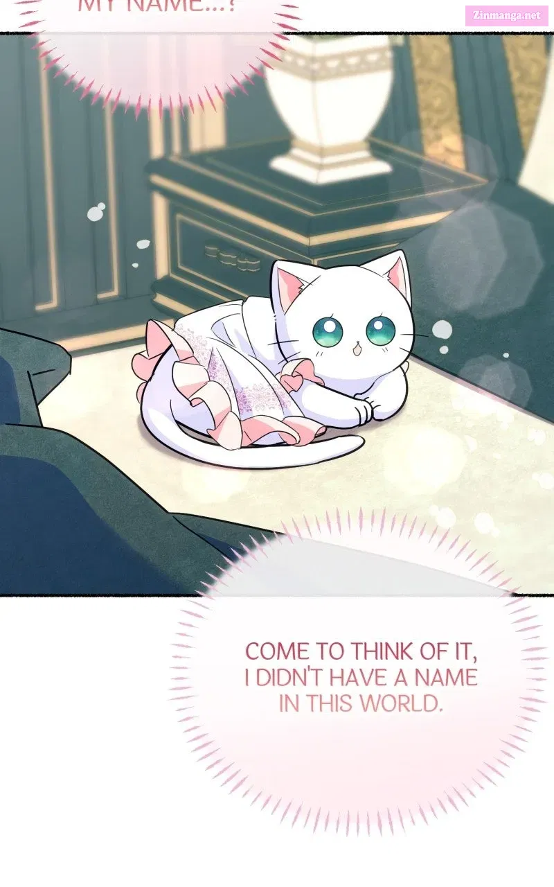 The Possessive Tyrantand His Sleepy Cat Chapter 10 page 80 - 