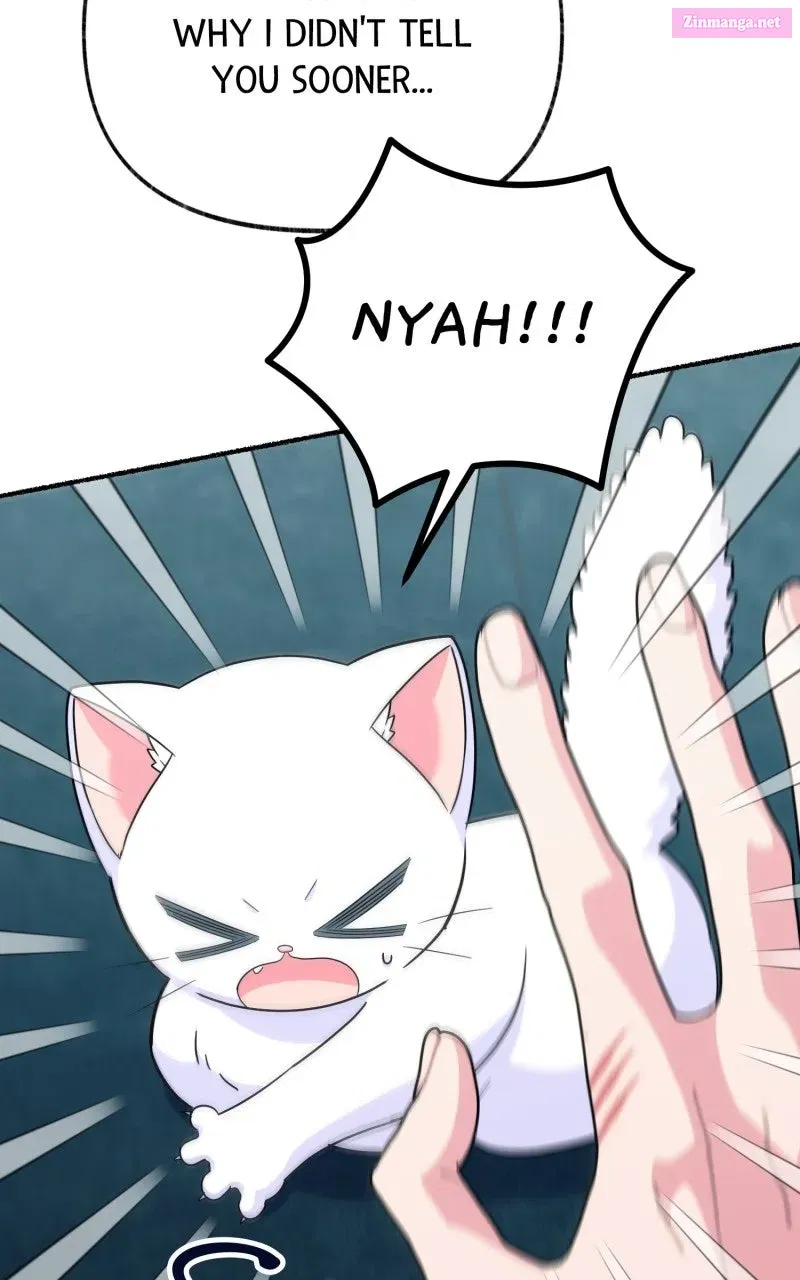 The Possessive Tyrantand His Sleepy Cat Chapter 11 page 11 - 