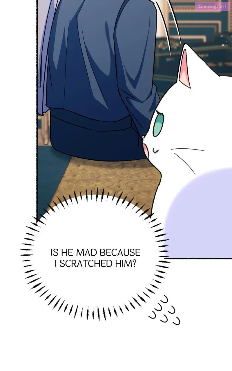 The Possessive Tyrantand His Sleepy Cat Chapter 11 page 15 - 