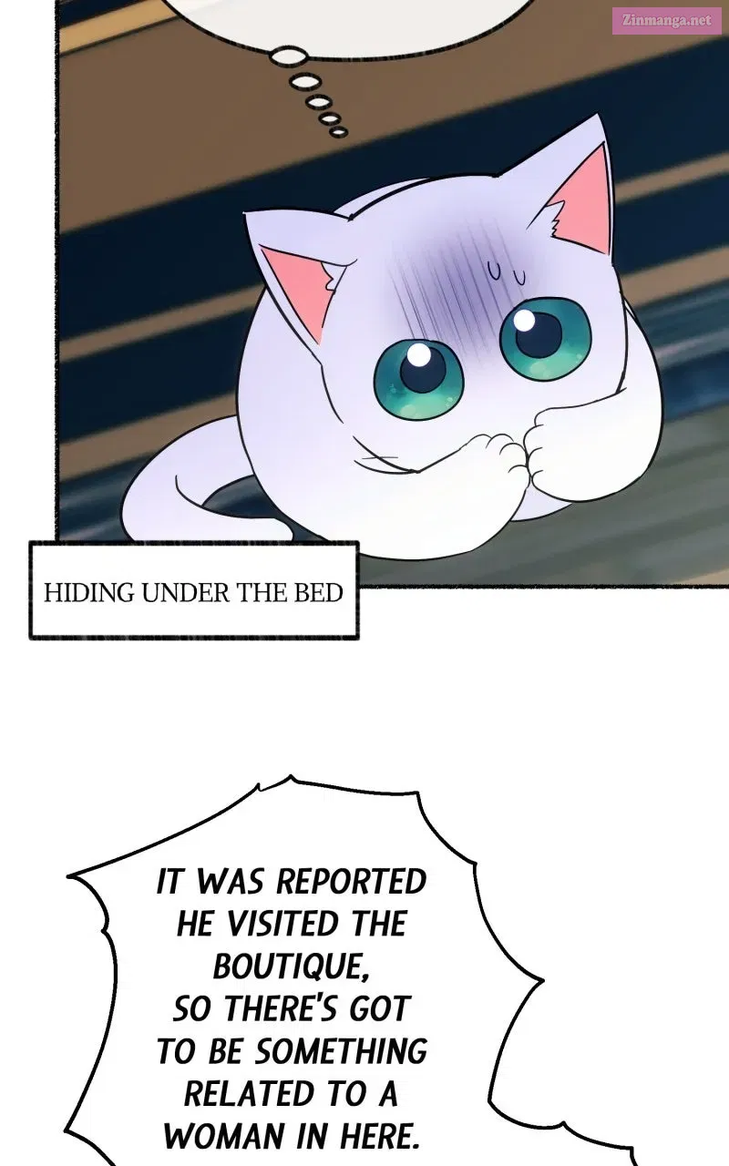 The Possessive Tyrantand His Sleepy Cat Chapter 11 page 34 - 