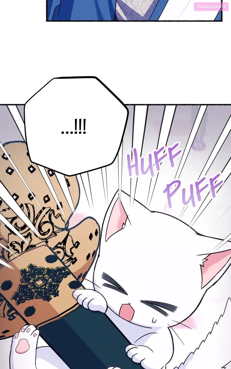 The Possessive Tyrantand His Sleepy Cat Chapter 12 page 81 - 