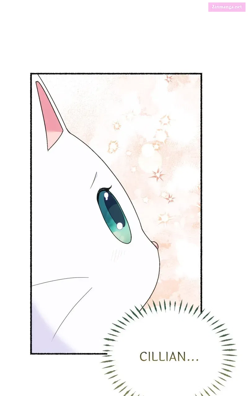 The Possessive Tyrantand His Sleepy Cat Chapter 13 page 49 - 