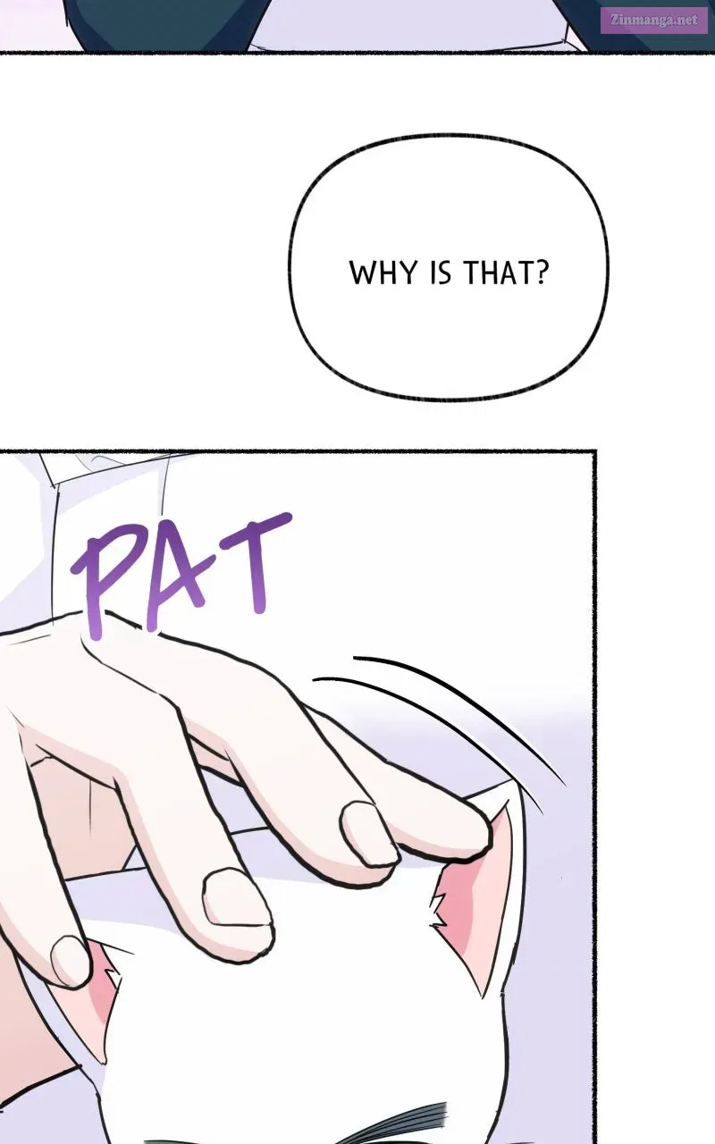 The Possessive Tyrantand His Sleepy Cat Chapter 13 page 53 - 