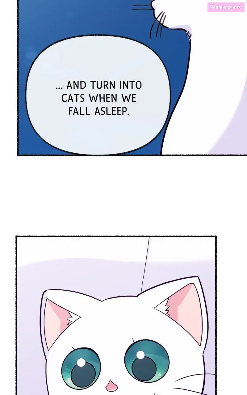 The Possessive Tyrantand His Sleepy Cat Chapter 13 page 90 - 