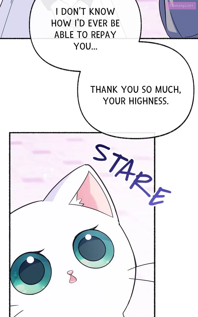 The Possessive Tyrantand His Sleepy Cat Chapter 14 page 64 - 